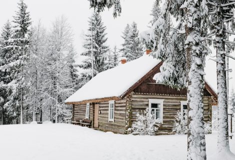 Vinterhytte i skogholt