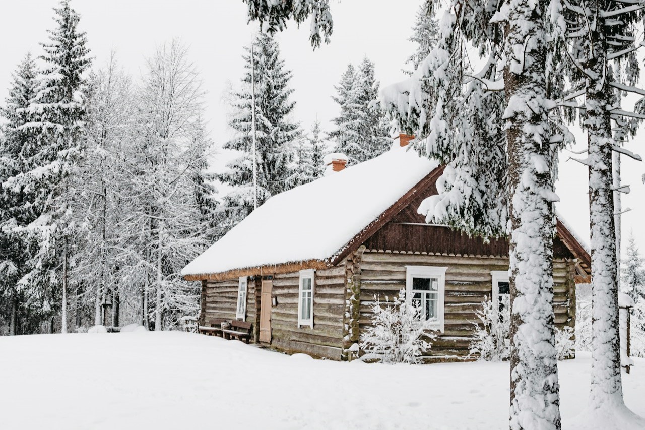 Vinterhytte i skogholt