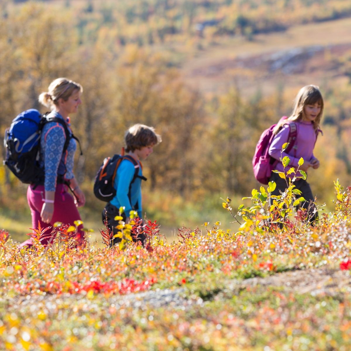 Høst. Mor og barn på tur i fjellet